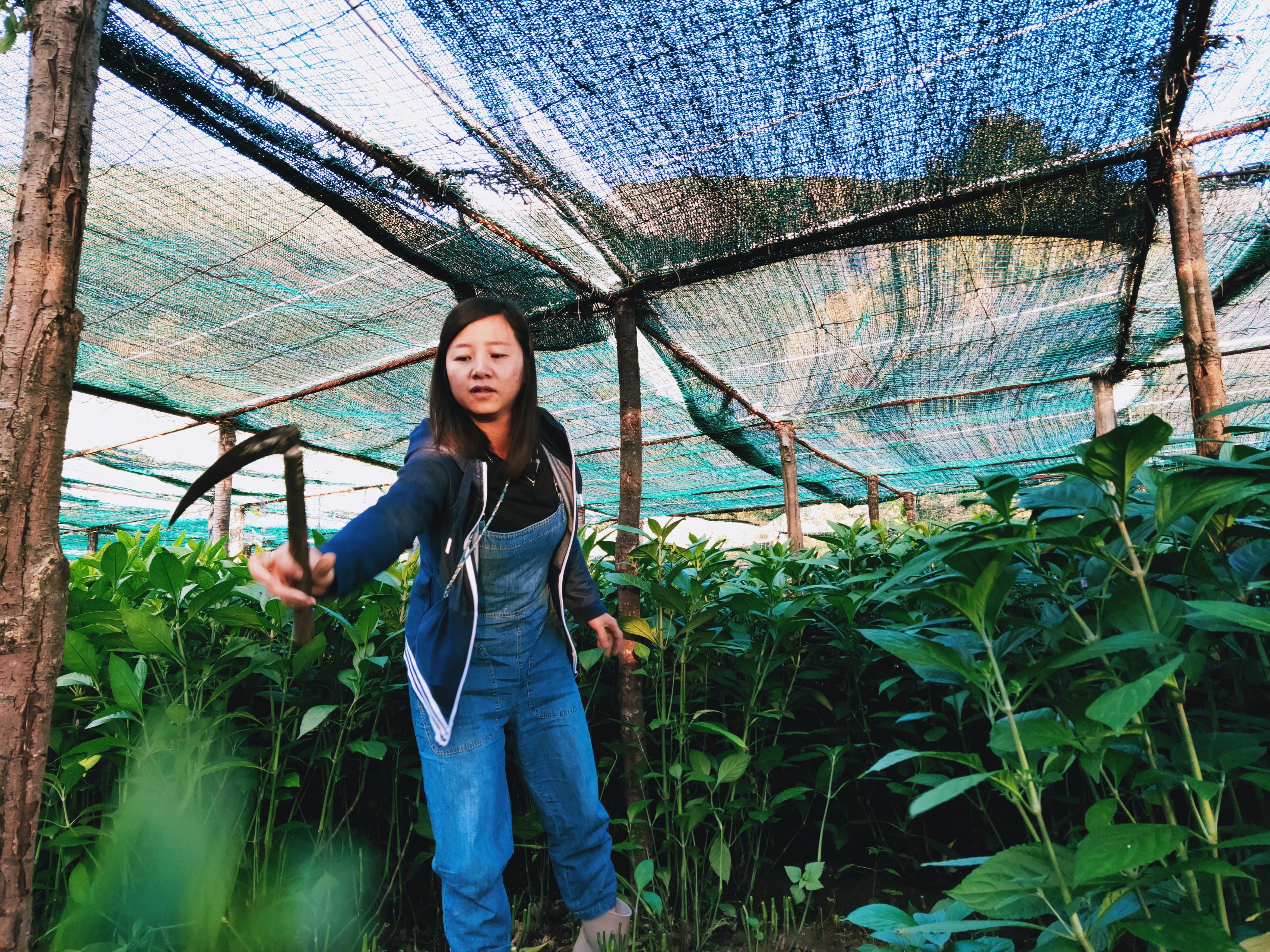 有一种叫云南的生活┃张翰敏：爱上大理那抹蓝，复活记忆的乡愁