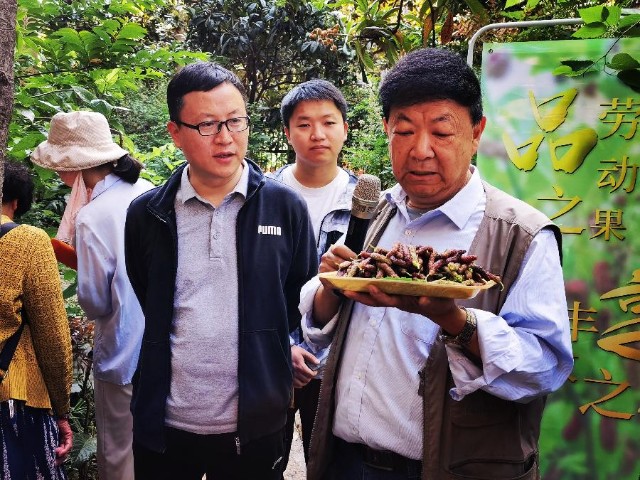 昆明永兴路社区开展“品劳动之果，享丰收之悦”绿色科普活动