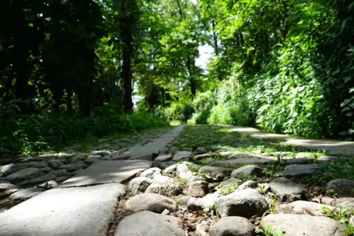 有一种叫云南的生活‖大理凤阳邑：时光在这里驻留 只有风轻轻吹过