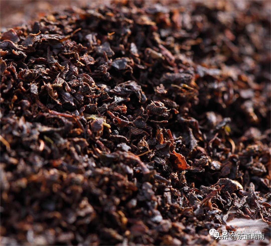 迈向智能自动化——渠江薄片茶业麦珠颗粒红茶自动化生产线试机