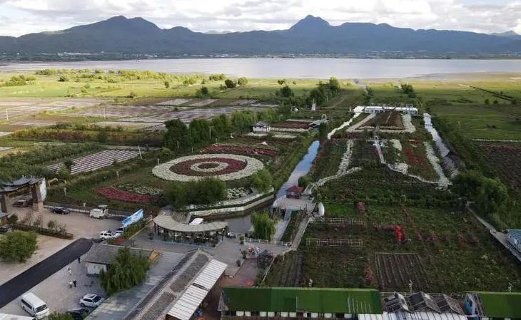 有一种叫云南的生活┃和艳群：于荆棘上跳舞，于尘埃里开花