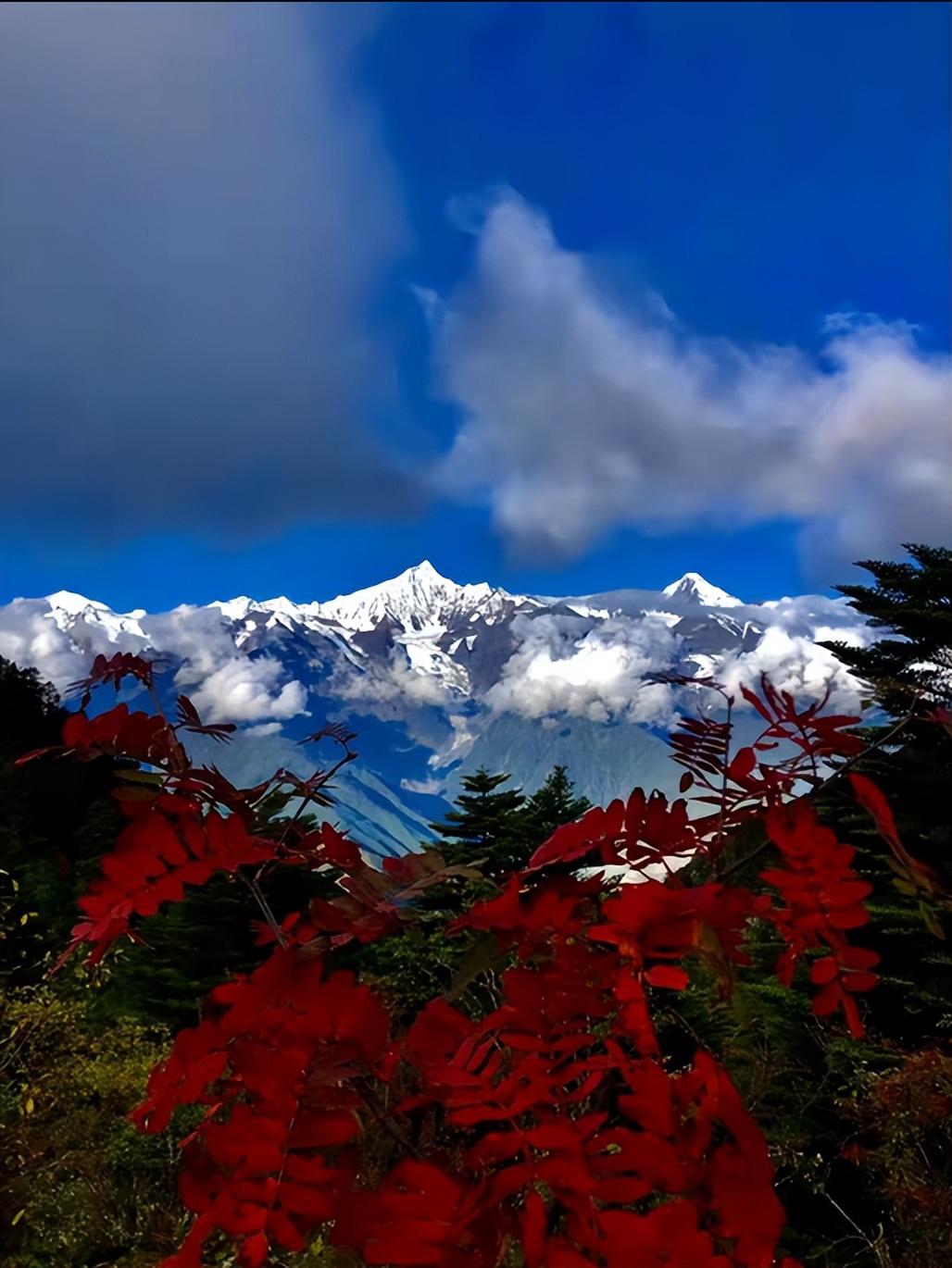 有一种叫云南的生活┃和艳群：于荆棘上跳舞，于尘埃里开花