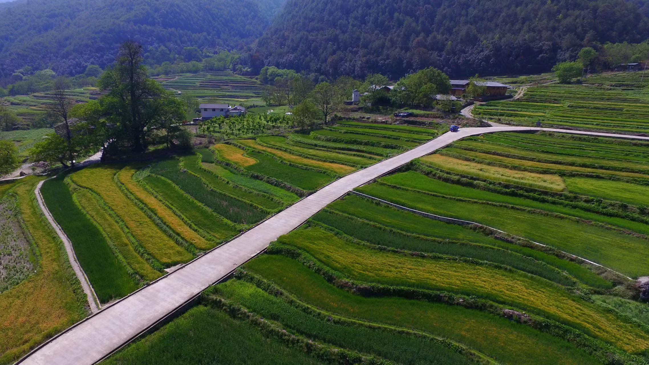 有一种叫云南的生活┃和艳群：于荆棘上跳舞，于尘埃里开花