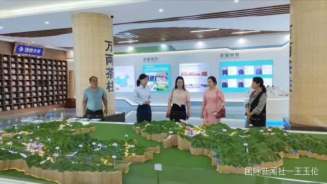 云南省思茅区委统战副部长郭鸽，莅临理想华莱云南营销中心调研