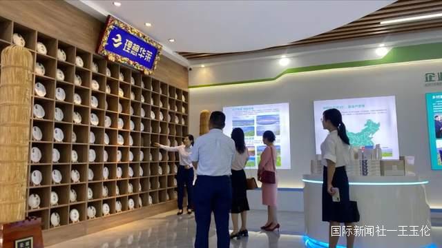 云南省思茅区委统战副部长郭鸽，莅临理想华莱云南营销中心调研