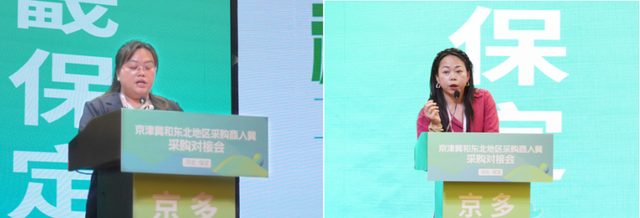 京津冀和东北地区采购商入冀采购对接会在保定成功举办