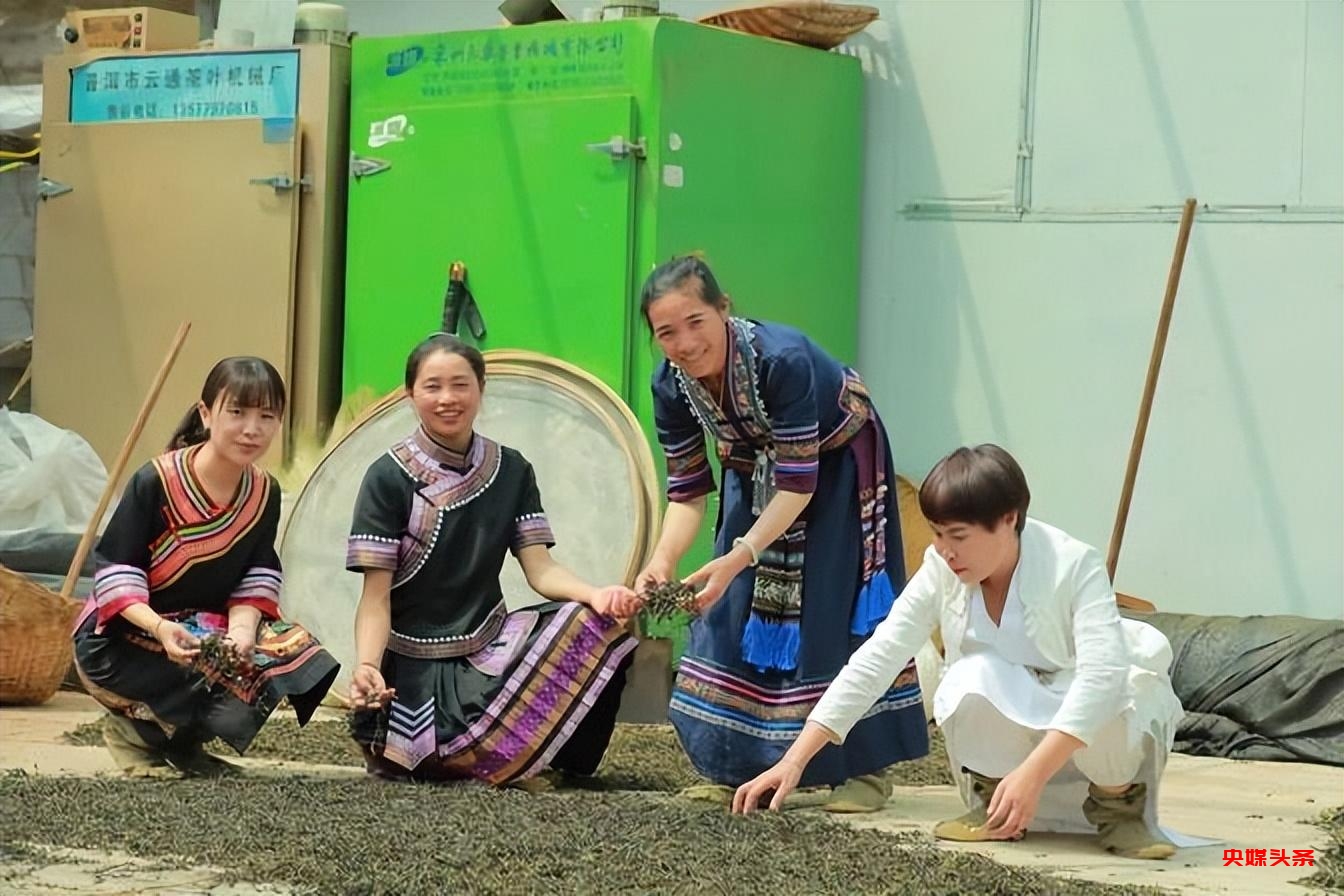 有一种叫云南的生活‖普洱茶，洇染开北回归线上的岁月静好