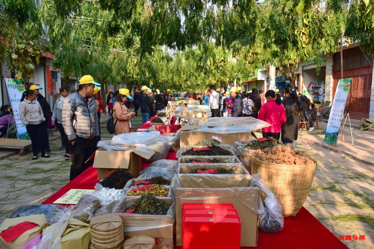 有一种叫云南的生活‖普洱茶，洇染开北回归线上的岁月静好