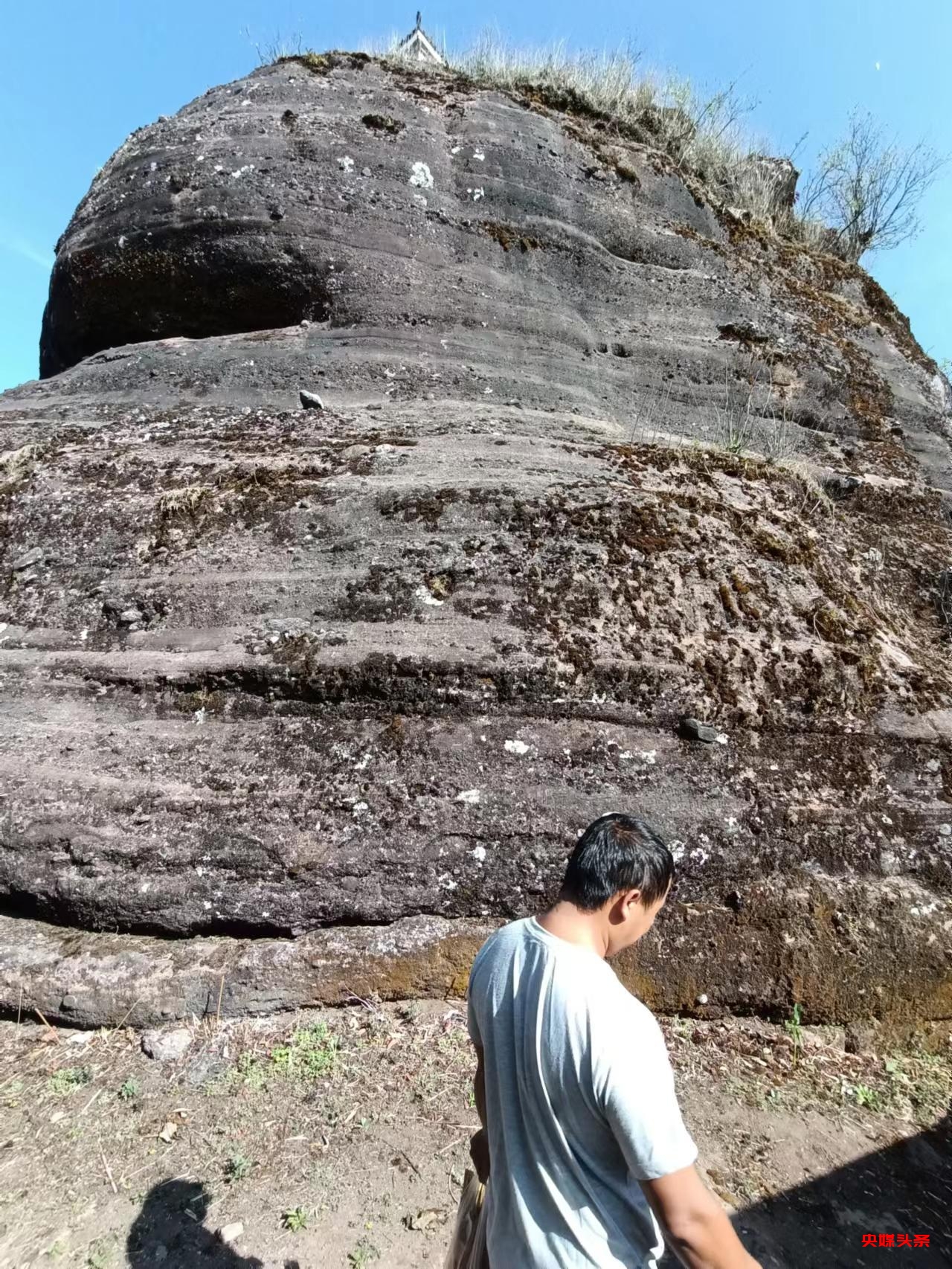 有一种叫云南的生活‖普洱茶，洇染开北回归线上的岁月静好