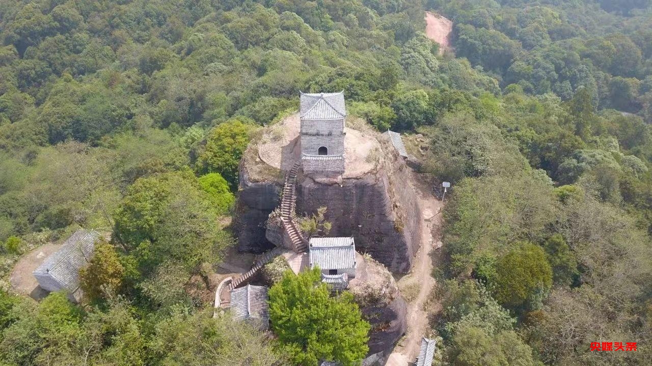 有一种叫云南的生活‖普洱茶，洇染开北回归线上的岁月静好