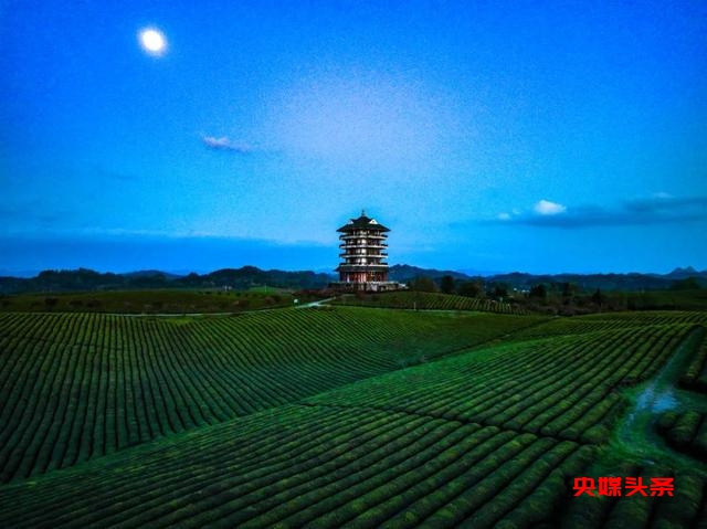 为什么是贵州？