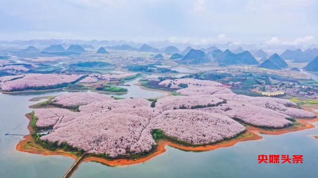 为什么是贵州？