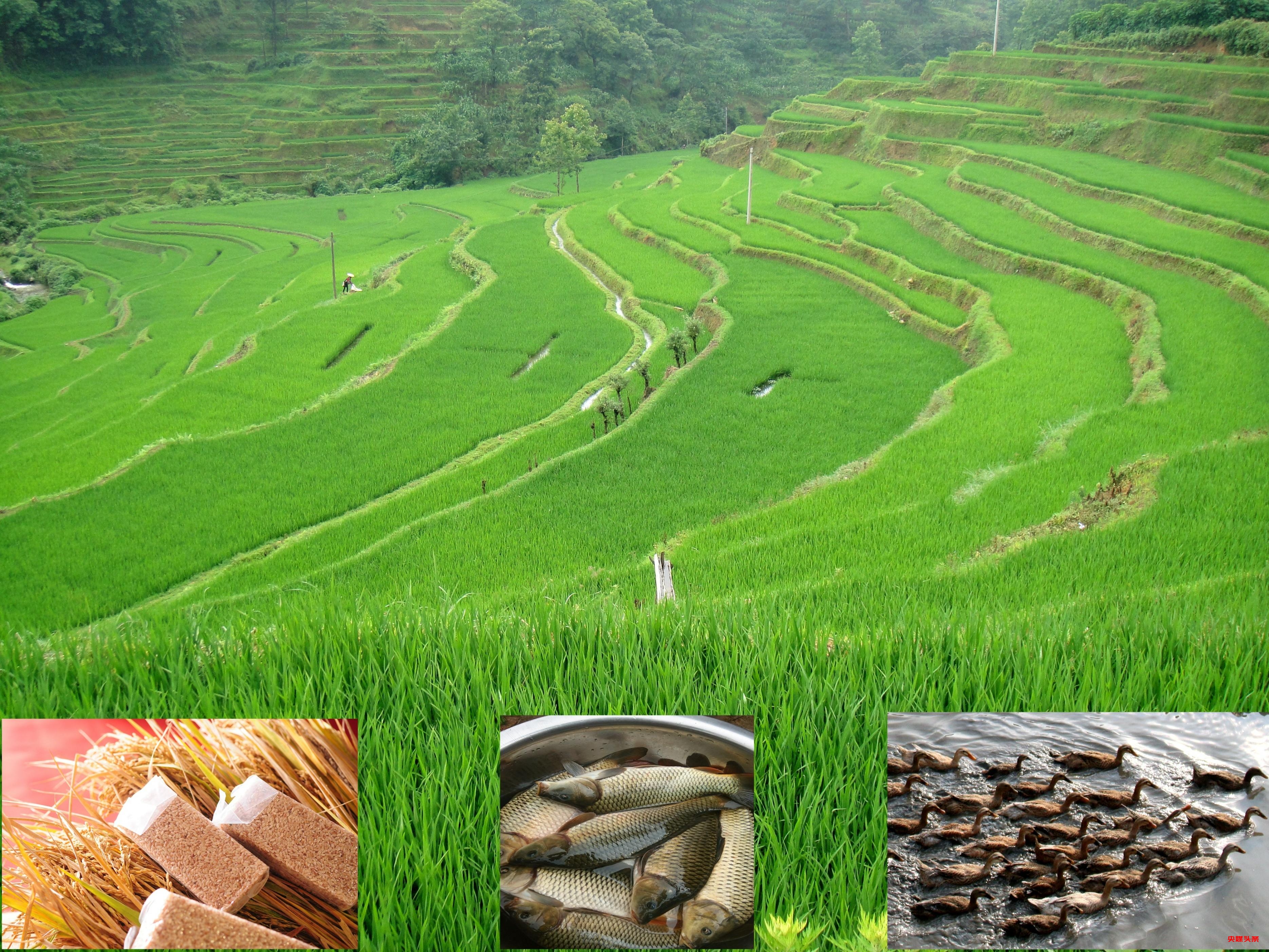 有一种叫云南的生活‖岁月在大地上的雕刻，洇然成千古绝唱