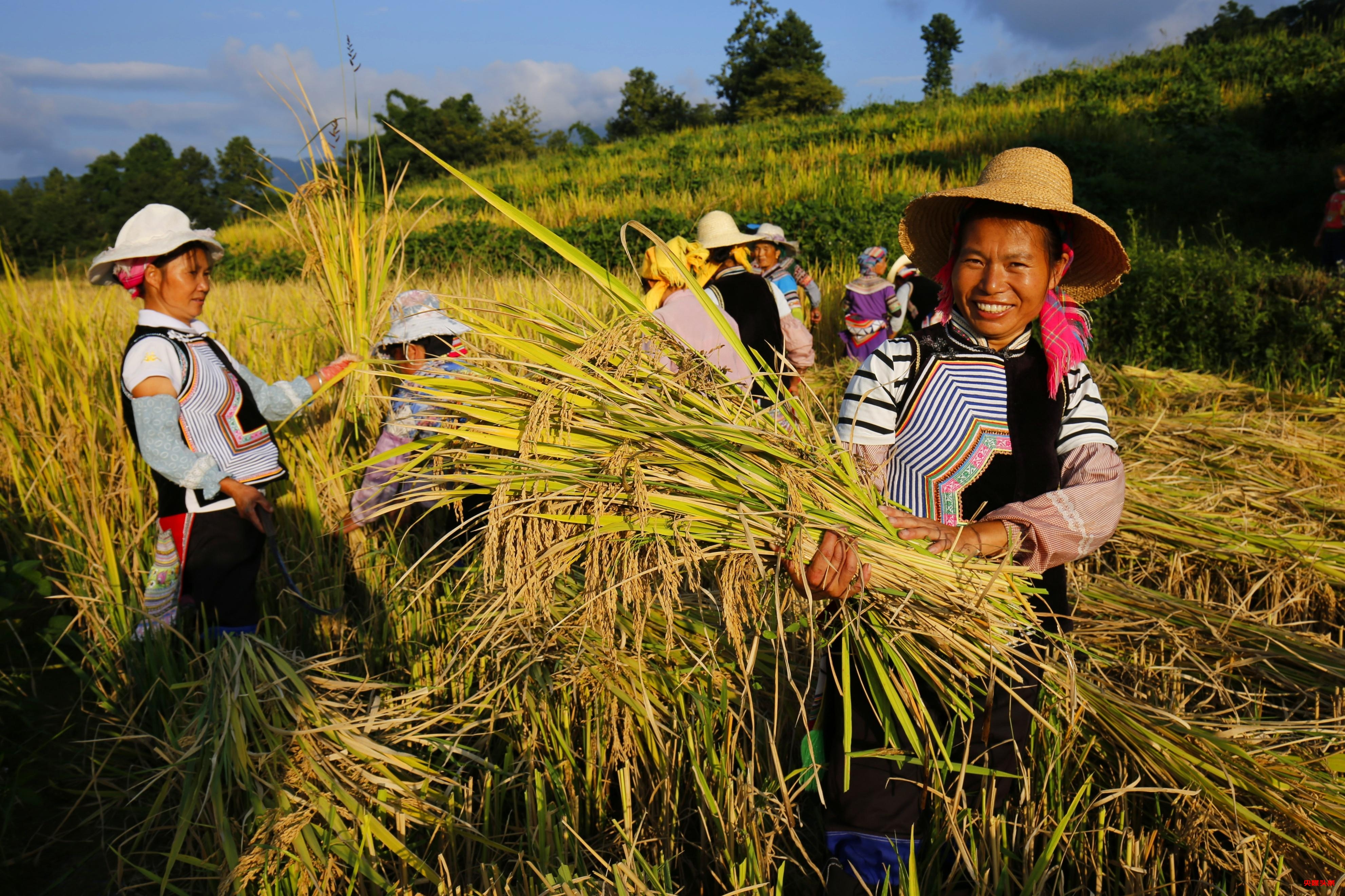 有一种叫云南的生活‖岁月在大地上的雕刻，洇然成千古绝唱