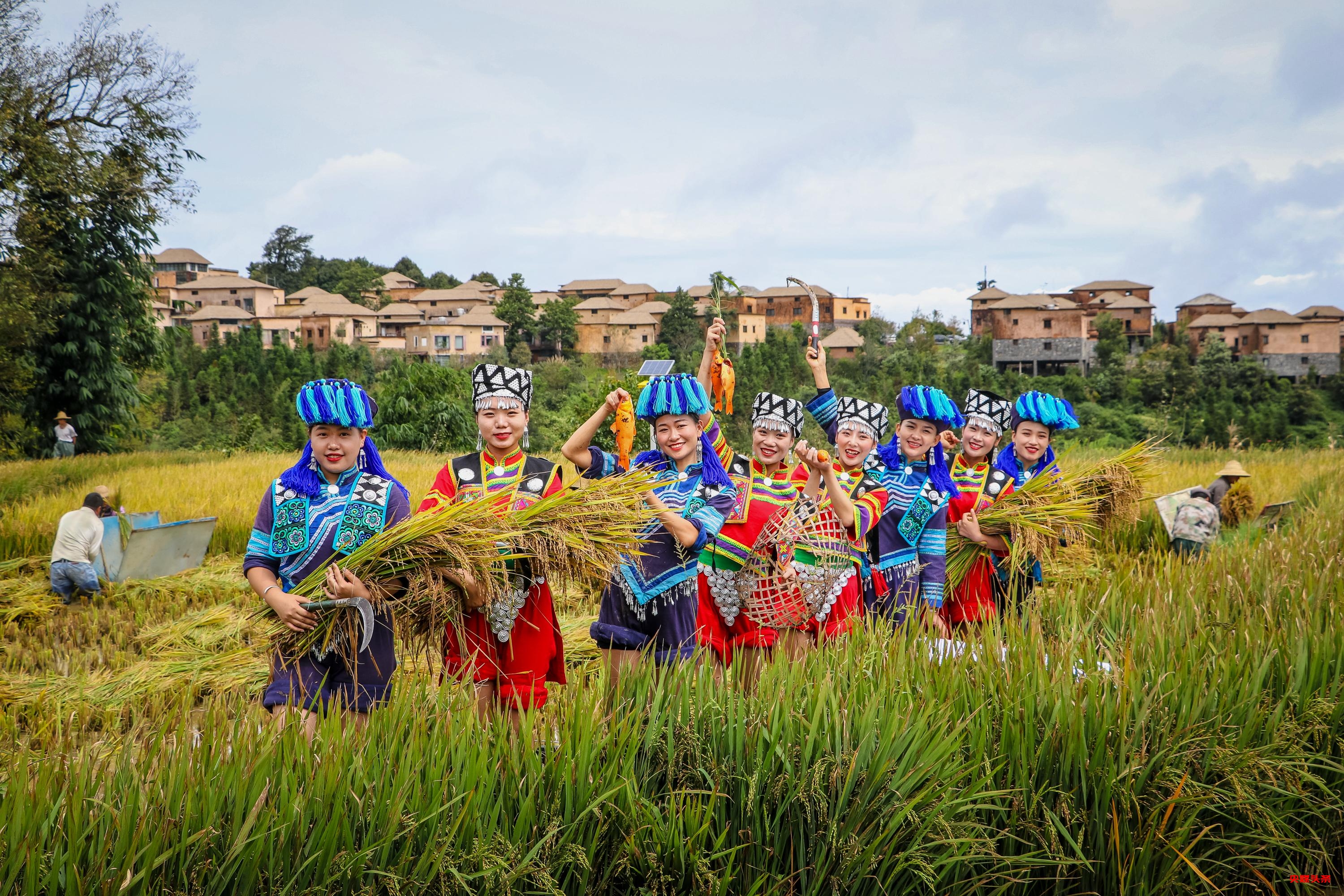 有一种叫云南的生活‖岁月在大地上的雕刻，洇然成千古绝唱