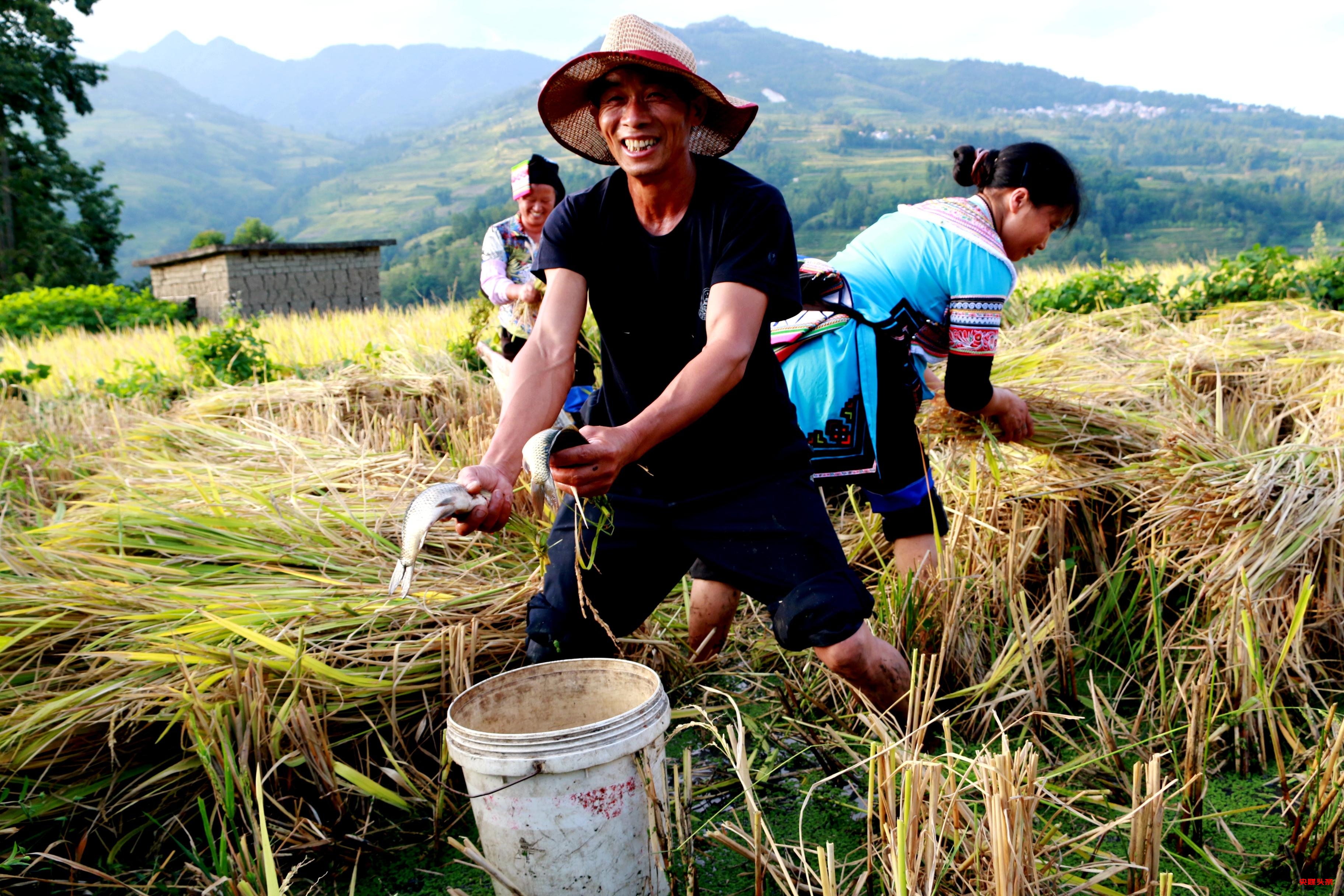 有一种叫云南的生活‖岁月在大地上的雕刻，洇然成千古绝唱