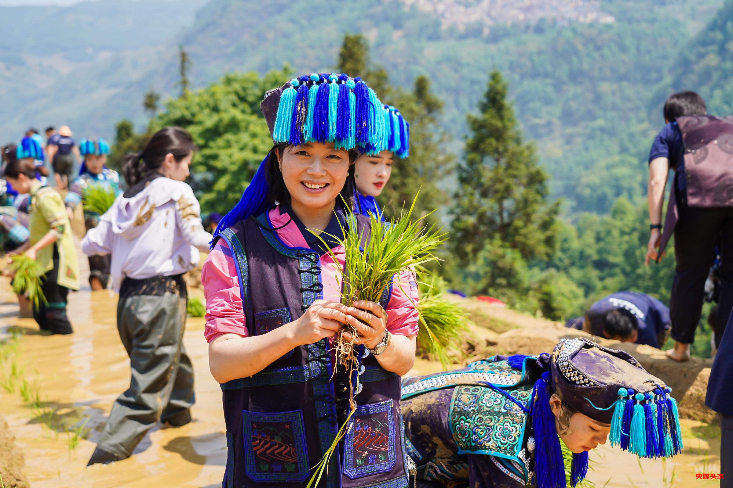 有一种叫云南的生活‖云上梯田，让乡愁缠绕千年的时光
