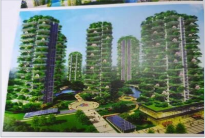 中国首席未病专家——廖更应