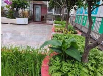 中国首席未病专家——廖更应