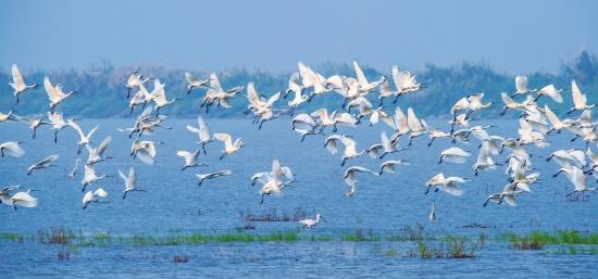 湘阴：豪横的江湖大佬