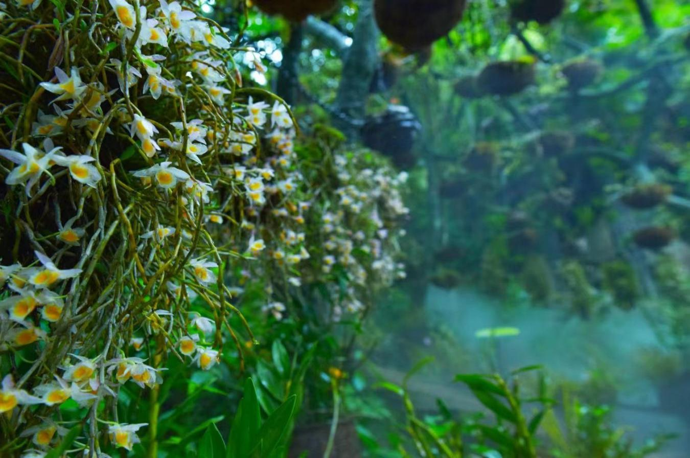 有一种叫云南的生活‖广南六郎城：文旅融合，让产业扎根壮乡