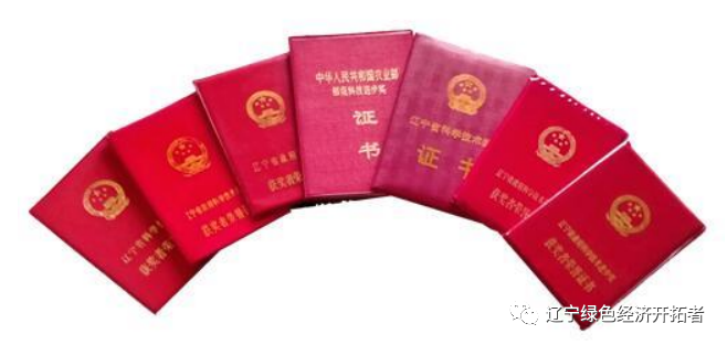 中国著名水稻育种专家—— 许雷