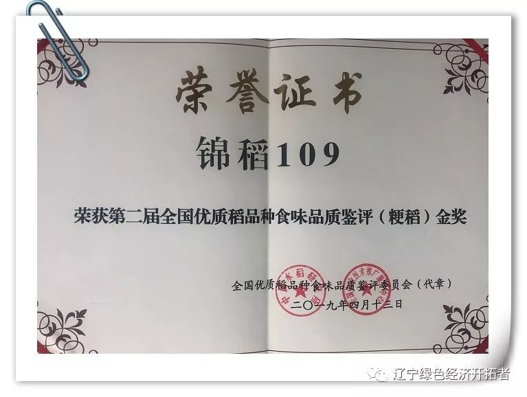 中国著名水稻育种专家—— 许雷