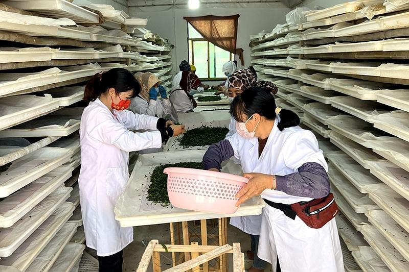 有一种叫云南的生活┃文山丘北：多措并举，擦亮旅游金字招牌