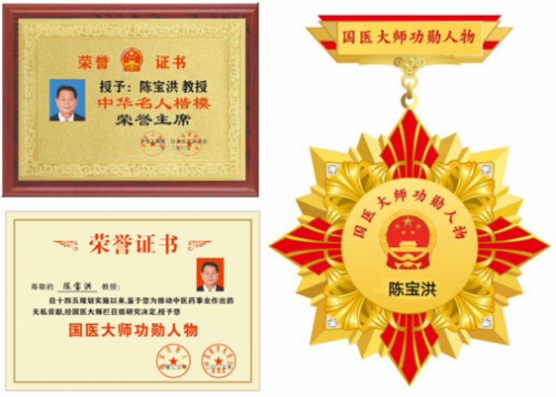 中国新时代国医大师——陈宝洪