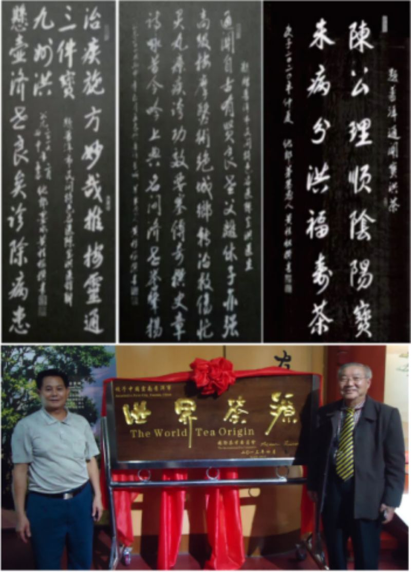 中国新时代国医大师——陈宝洪