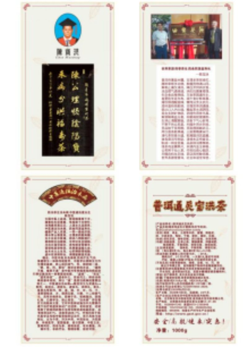 中国新时代国医大师——陈宝洪