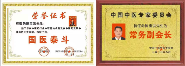 中国新时代国医大师——陈宝洪