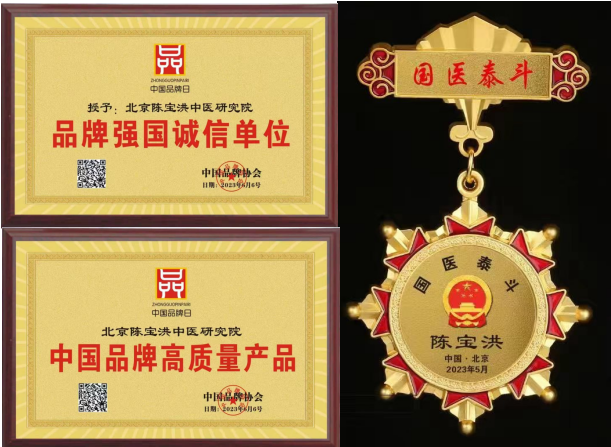 中国新时代国医大师——陈宝洪