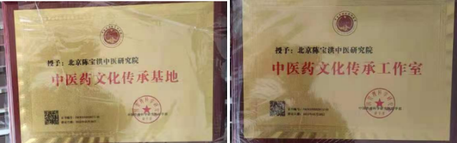 中国新时代国医大师——陈宝洪