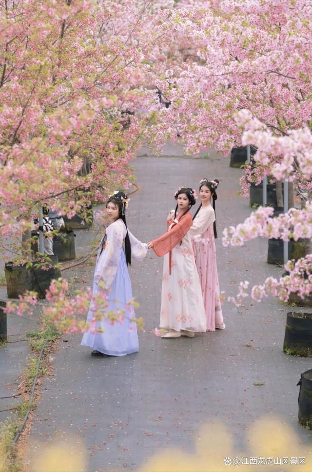江西这个景区穿汉服免门票入园啦！还有超实用的汉服拍照技巧附送给你！