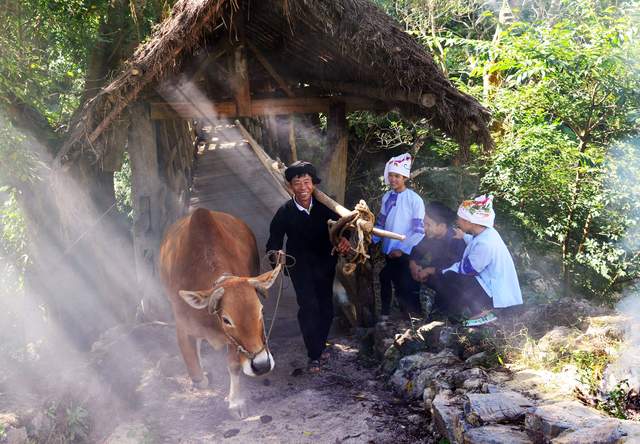 有一种叫云南的生活┃广南侬人谷：在丛林和碧波中，体验壮家爱情的神秘和浪漫