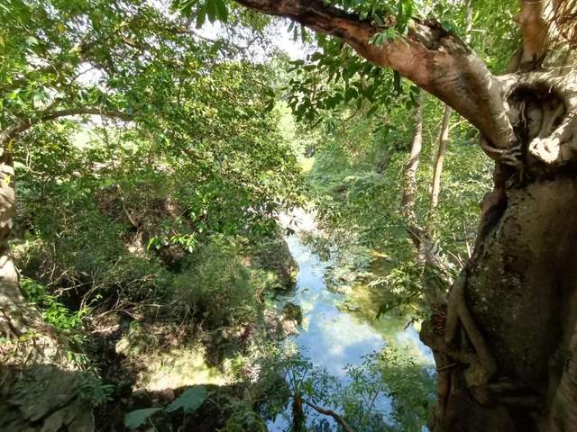 有一种叫云南的生活┃广南侬人谷：在丛林和碧波中，体验壮家爱情的神秘和浪漫