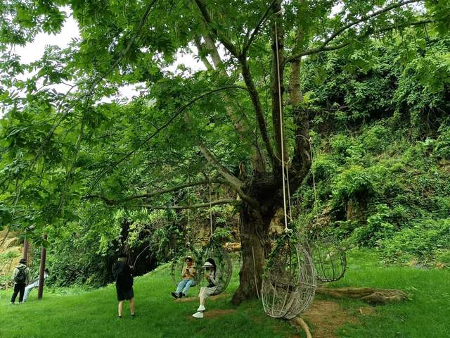 有一种叫云南的生活┃广南侬人谷：在丛林和碧波中，体验壮家爱情的神秘和浪漫