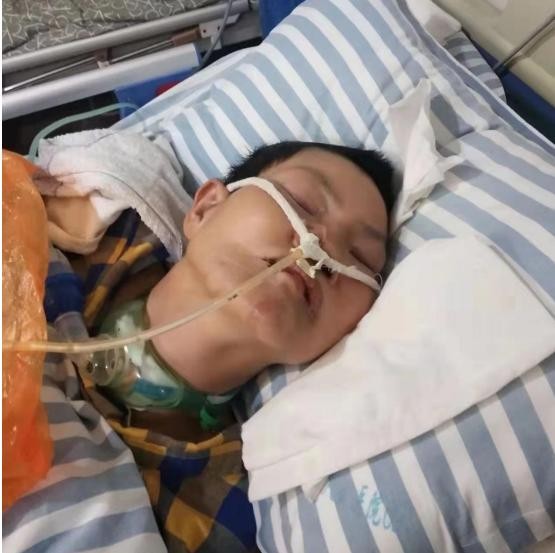 国宝级中医传承人——陶长年