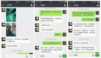 国宝级中医传承人——陶长年