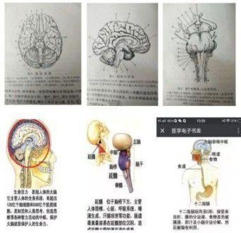 国宝级中医传承人——陶长年