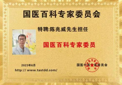 中国龙文化传承人——陈兆威