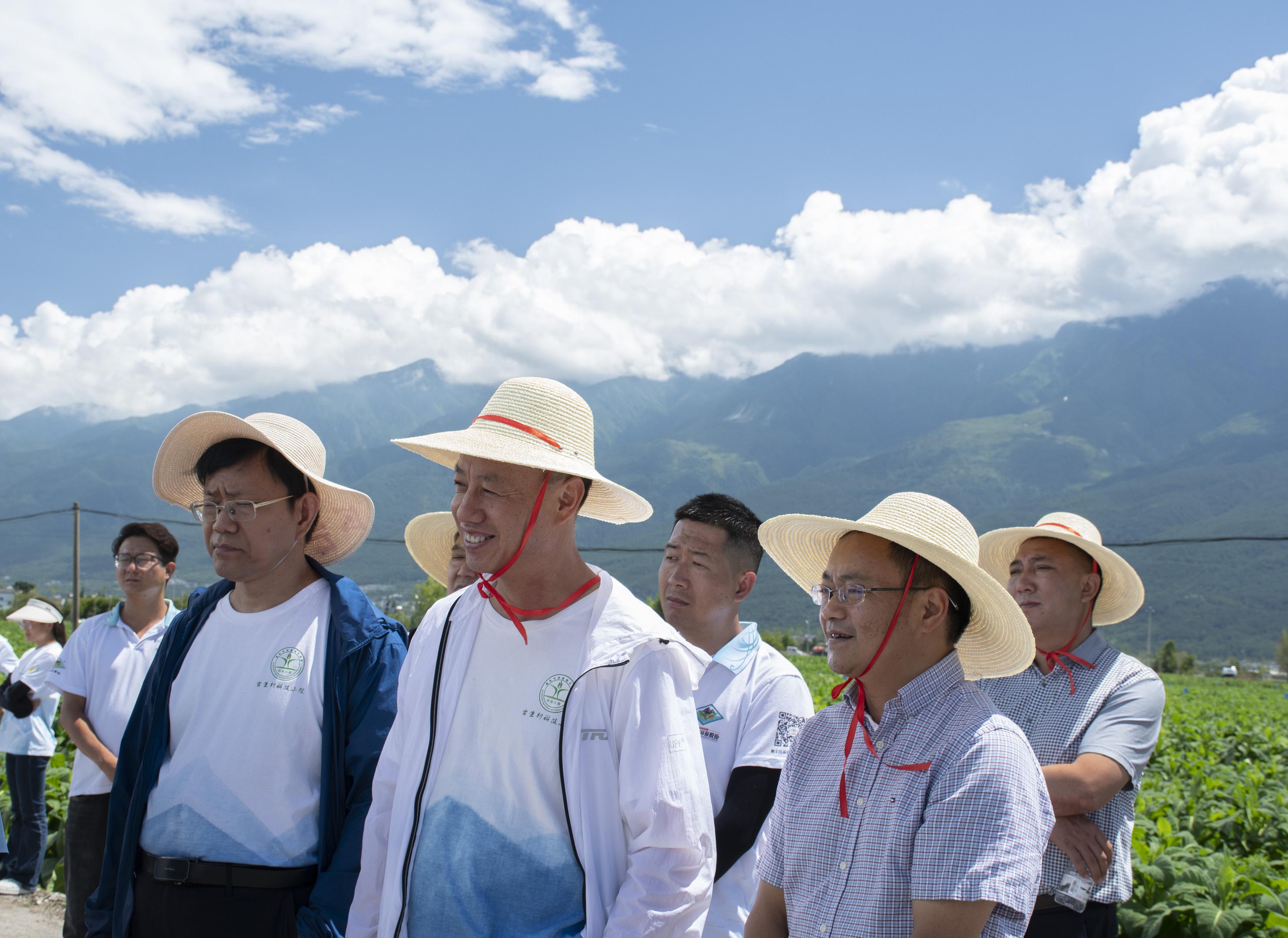 云南：大理烟草科技小院举办烟叶绿色生产田间观摩现场会