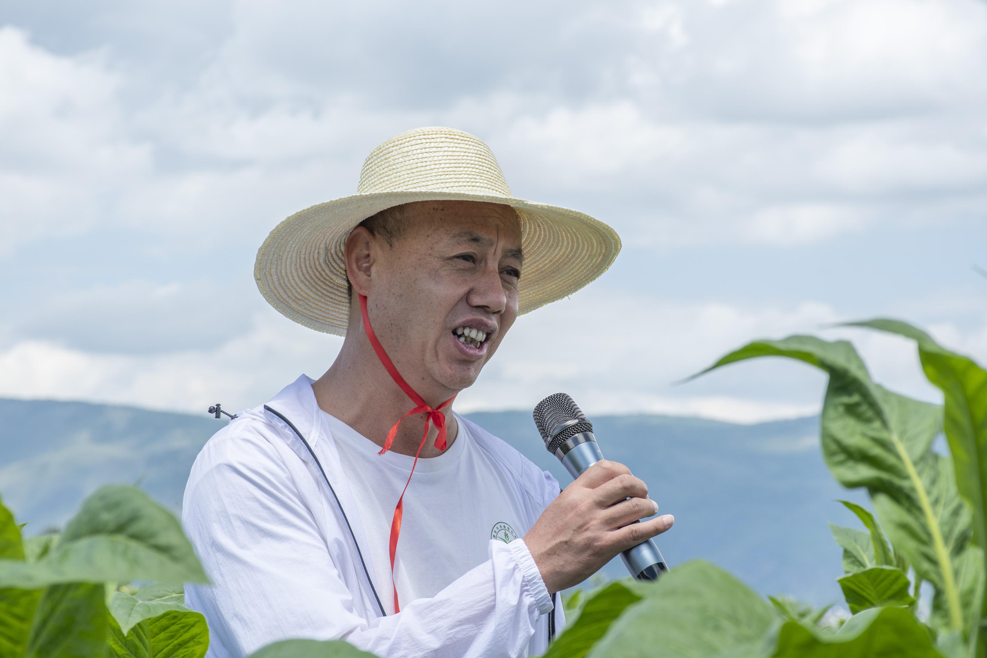 云南：大理烟草科技小院举办烟叶绿色生产田间观摩现场会
