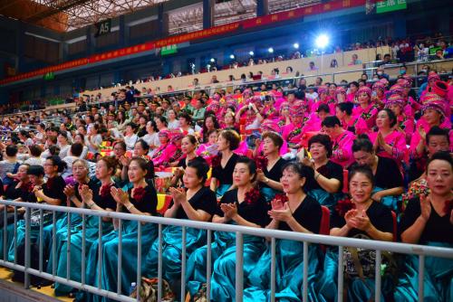 十年放歌彩云南  银发生辉展风采