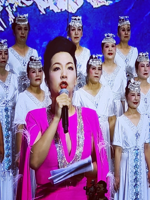 十年放歌彩云南  银发生辉展风采