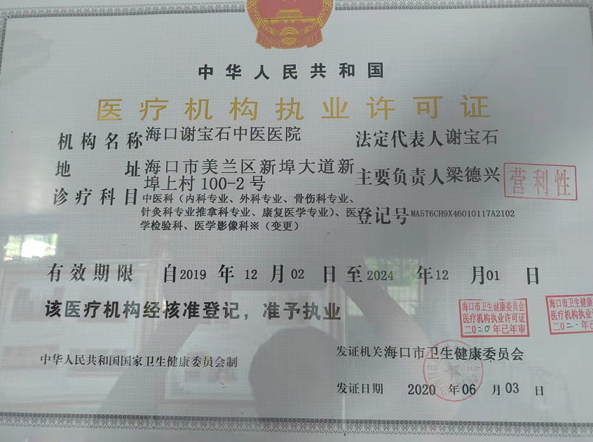海口谢宝石中医医院院长——谢宝石