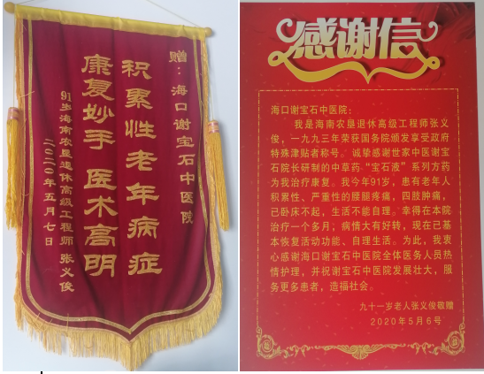 海口谢宝石中医医院院长——谢宝石