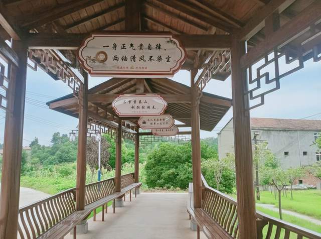 龚太亚：喜看胡导章村新变化