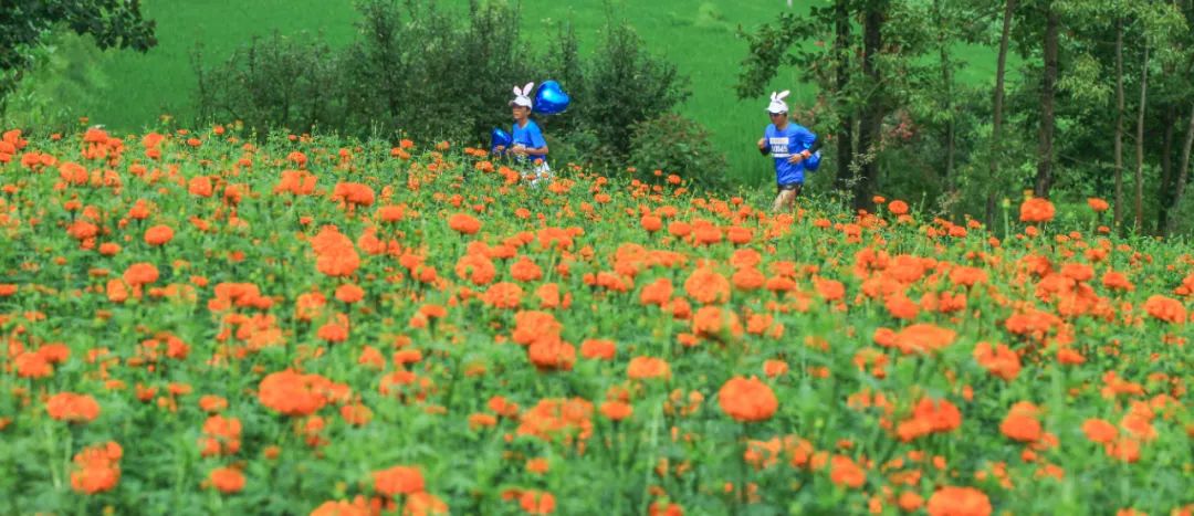 365天，每天都可以讲得出一个好故事的云南！